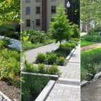 Sustainable Stormwater Management Consulting