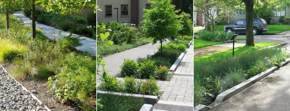 Sustainable Stormwater Management Consulting